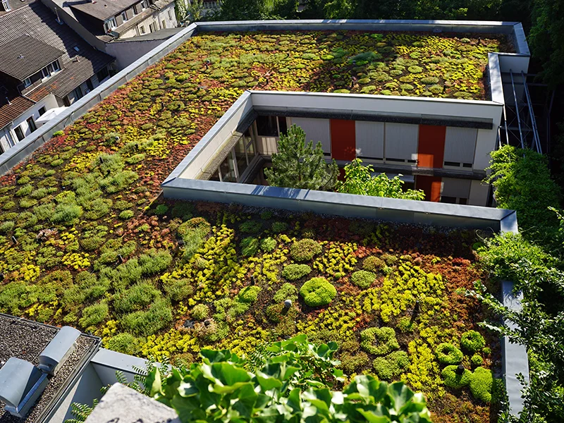 Dachbegrünung vom Flachdach Profi in Böblingen